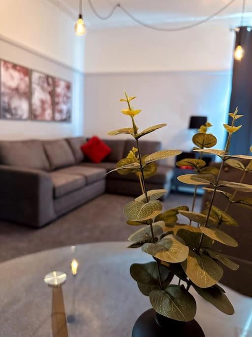 The Retreat - Large Luxury Apartment, Two Mins From Beach Bournemouth Buitenkant foto
